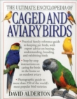 Image for The ultimate encyclopedia of caged and aviary birds  : a practical family reference guide to keeping pet birds, with expert advice on buying, understanding, breeding and exhibiting birds