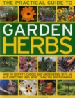 Image for The practical guide to garden herbs  : how to identify, choose and grow herbs, with an A-Z directory and more than 730 photographs