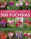 Image for A gardener&#39;s guide to 500 fuchsias  : varieties for growing in hanging baskets and pots, hardy fuchsias, species fuchsias, unusual cultivars and encliandras, with over 270 photographs