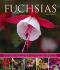 Image for Fuchsias  : an illustrated guide to varieties, cultivation and care, with step-by-step instructions and over 130 beautiful photographs