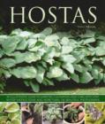 Image for Hostas  : an illustrated guide to varieties, cultivation and care, with step-by-step instructions and over 130 beautiful photographs