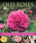 Image for Old roses  : an illustrated guide to varieties, cultivation and care, with step-by-step instructions and over 120 beautiful photographs