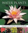Image for Water plants  : an illustrated guide to varieties, cultivation and care, with step-by-step instructions and over 110 beautiful photographs