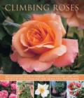 Image for Climbing roses  : an illustrated guide to varieties, cultivation and care, with step-by-step instructions and over 160 beautiful photographs