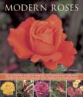 Image for Modern roses  : an illustrated guide to varieties, cultivation and care, with step-by-step instructions and over 150 beautiful photographs