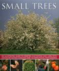 Image for Small trees  : an illustrated guide to varieties, cultivation and care, with step-by-step instructions and over 170 inspirational photographs