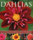 Image for Dahlias