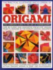 Image for The practical illustrated encyclopedia of origami  : the complete guide to the art of paperfolding