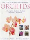 Image for The practical encyclopedia of orchids  : a complete guide to orchids and their cultivation