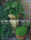 Image for Harvest of Herbs