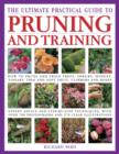Image for Ultimate Practical Guide to Pruning and Training