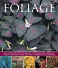 Image for Foliage  : an illustrated guide to varieties, cultivation and care, with step-by-step instructions and over 150 inspiring photographs