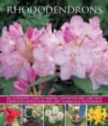 Image for Rhododendrons  : an illustrated guide to varieties, cultivation and care, with step-by-step instructions and over 135 beautiful photographs