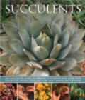 Image for Succulents  : an illustrated guide to varieties, cultivation and care, with step-by-step instructions and over 145 stunning photographs