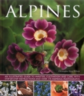 Image for Alpines  : an illustrated guide to varieties, cultivation and care, with step-by-step instructions and over 175 inspiring photographs