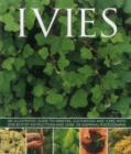 Image for Ivies