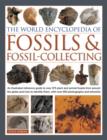 Image for The world encyclopedia of fossils &amp; fossil-collecting  : an illustrated reference guide to over 375 plant and animal fossils from around the globe and how to identify them, with over 950 photographs 