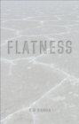 Image for Flatness