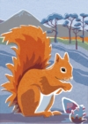 Image for Nature Notebook: Red Squirrel
