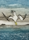 Image for Wild Birds Pocket Notebook: Gannet