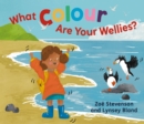 Image for What colour are your wellies?