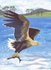 Image for Nature Notebook: Sea Eagle