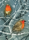 Image for Wild Birds Pocket Notebook: Robin