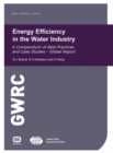 Image for Energy Efficiency in the Water Industry