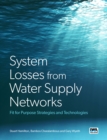 Image for System losses from water supply networks