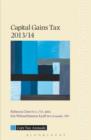 Image for Capital gains tax 2013/14
