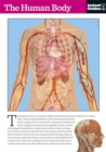 Image for The Human Body : The Instant Guide