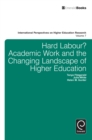 Image for Hard labour?: academic work and the changing landscape of higher education