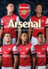 Image for Official Arsenal 2014 Calendar