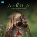 Image for Official BBC Earth - Africa 2014 Calendar