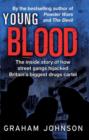 Image for Young blood: the inside story of how street gangs hijacked Britain&#39;s biggest drugs cartel