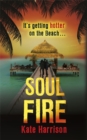 Image for Soul fire