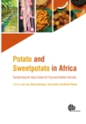 Image for Potato and sweetpotato in Africa  : transforming the value chains for food and nutrition security