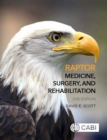 Image for Raptor medicine, surgery and rehabilitation