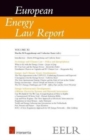 Image for European Energy Law Report XI