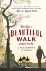 Image for The most beautiful walk in the world: a pedestrian in Paris
