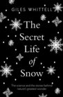 Image for The secret life of snow  : the science and the stories behind nature&#39;s greatest wonder