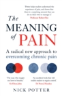 Image for The meaning of pain  : a radical new approach to overcoming chronic pain
