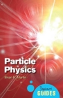 Image for Particle physics: a beginner&#39;s guide