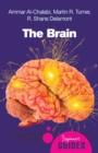 Image for The brain: a beginner&#39;s guide