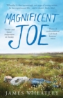 Image for Magnificent Joe