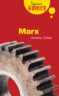 Image for Marx: a beginner&#39;s guide