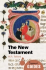 Image for The New Testament: a beginner&#39;s guide