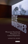 Image for Little Madnesses : Winnicott, Transitional Phenomena &amp; Cultural Experience