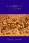 Image for A History of Shi&#39;i Islam