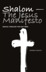 Image for Shalom - the Jesus manifesto: radical theology for our times